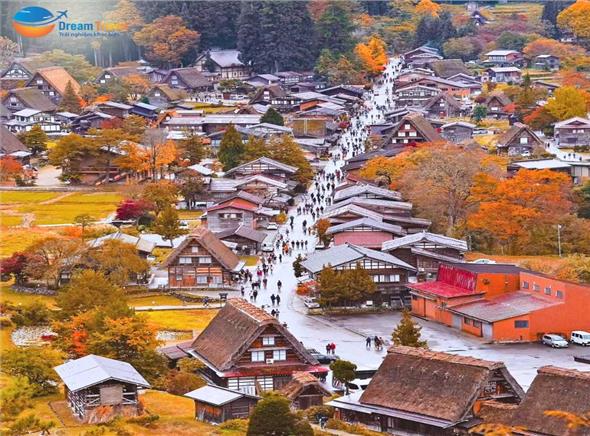 Tour Nhật Bản Mùa Thu 2024 Shirakawago - Kyoto - Phú Sĩ - Tokyo